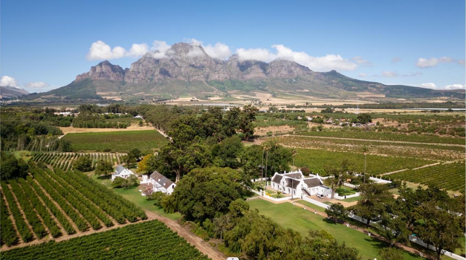Allee Bleue Wine Estate Simondium Екстер'єр фото